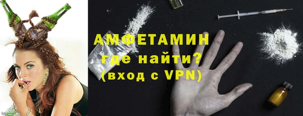мет Алексин