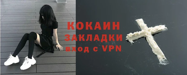 крисы Абаза