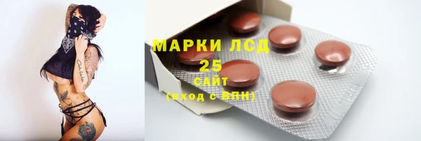 крисы Абаза