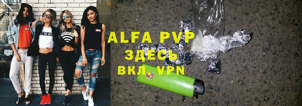 крисы Абаза