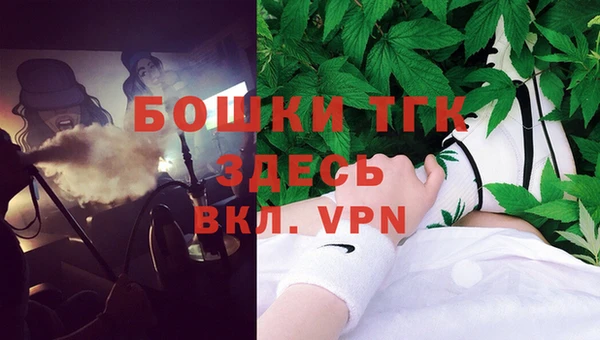 крисы Абаза