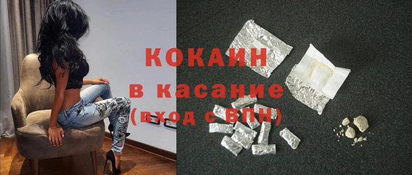 крисы Абаза