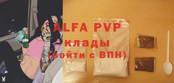 крисы Абаза