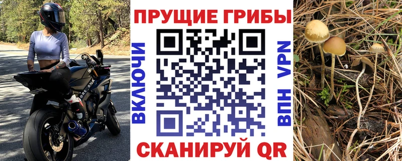 Псилоцибиновые грибы Psilocybine cubensis  ссылка на мегу рабочий сайт  Ростов-на-Дону 